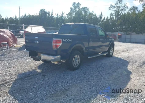 2010 Ford F-150 Xl/Xlt z USA, uszkodzony, nr VIN 1FTEW1E86AFD39577